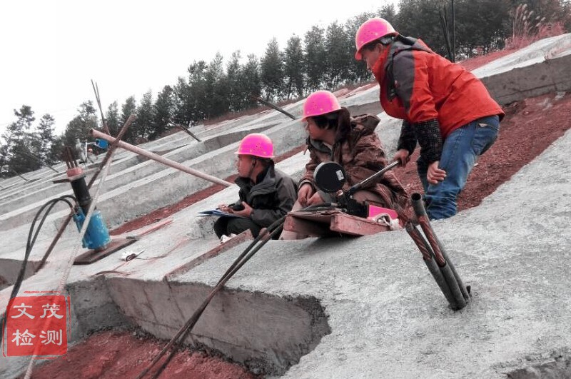 1500859573305568.jpg 圖片關(guān)鍵詞